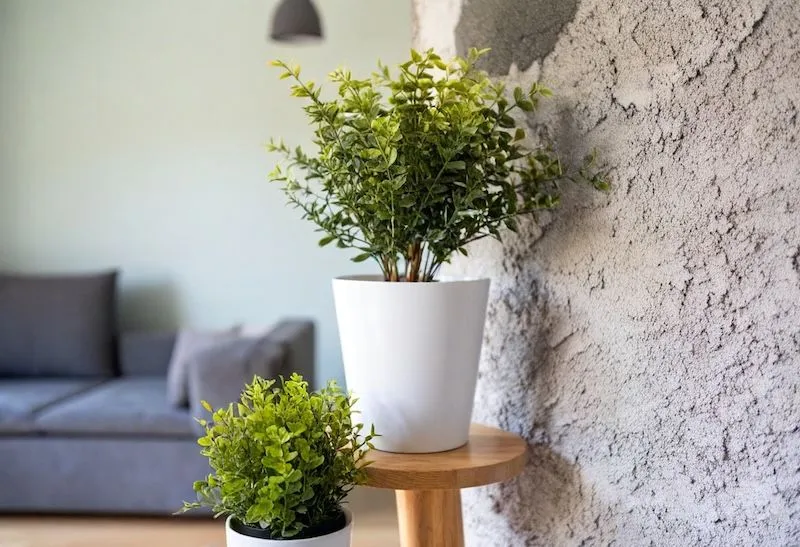 Eco Friendly Stucco Finishes Eco Friendly Stucco Finishes