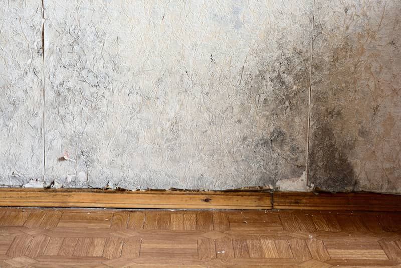 water intrusion