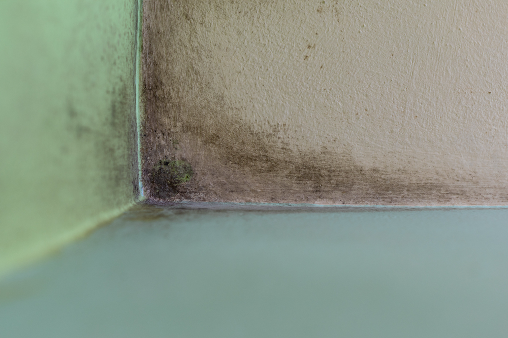 Dark moisture staining along a wall showing why knowing how to test stucco for moisture can help identify hidden water damage.